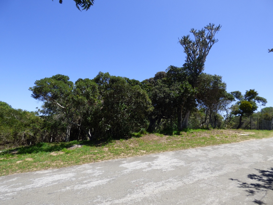 0 Bedroom Property for Sale in Kleinemonde Eastern Cape